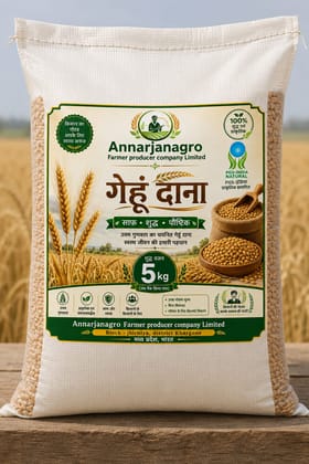 Wheat grain 