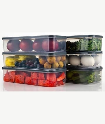 analog kichenware Food/Fish/Vegetable Plastic Grey Multi-Purpose Container ( Set of 6 )