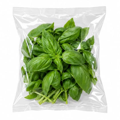 Italian basil