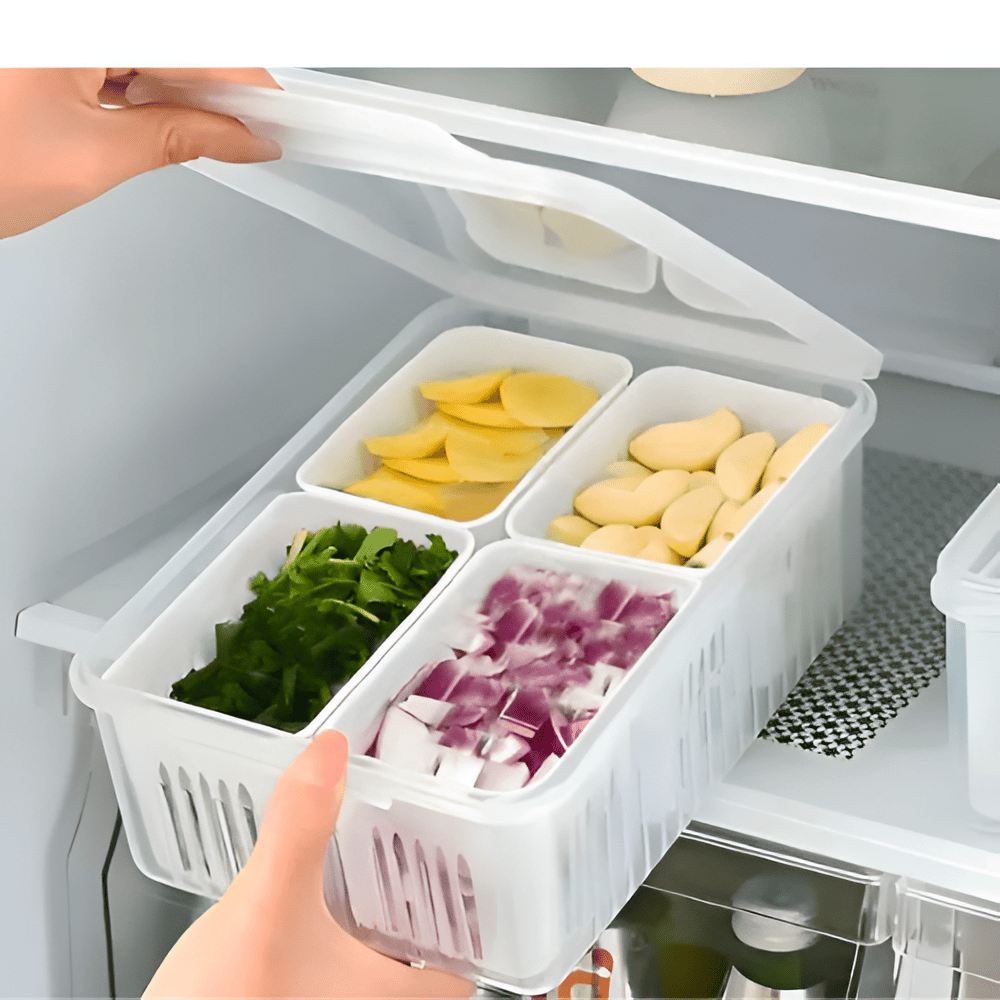 Navya Kitchenware 4-in-1 Grid Fridge Storage Containers, Organizer with Lid storage box