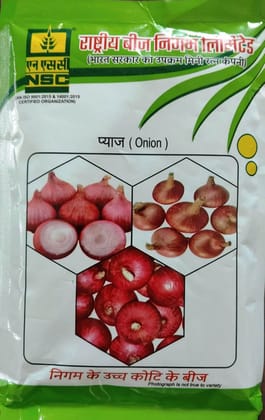 NSC Onion Bhima Dark Red