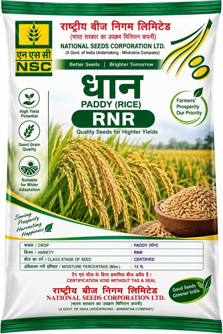 Paddy RNR 5 kg seeds