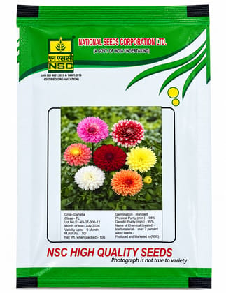 NSC Dahlia Flower Seed- 10 gm