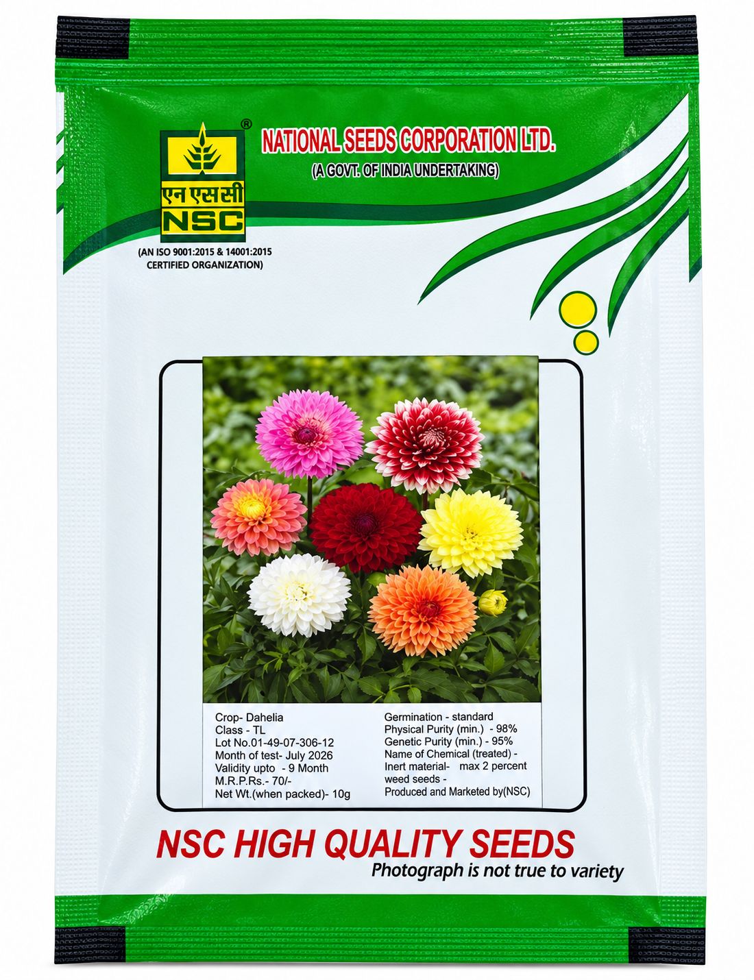 NSC Dahlia Flower Seed- 10 gm