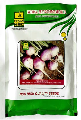 NSC TURNIP (शलजम) VARIETY - PTWG PURPLE TOP WHITE GLOBE HIGH-QUALITY T/L SEEDS - 100 GMS POUCH