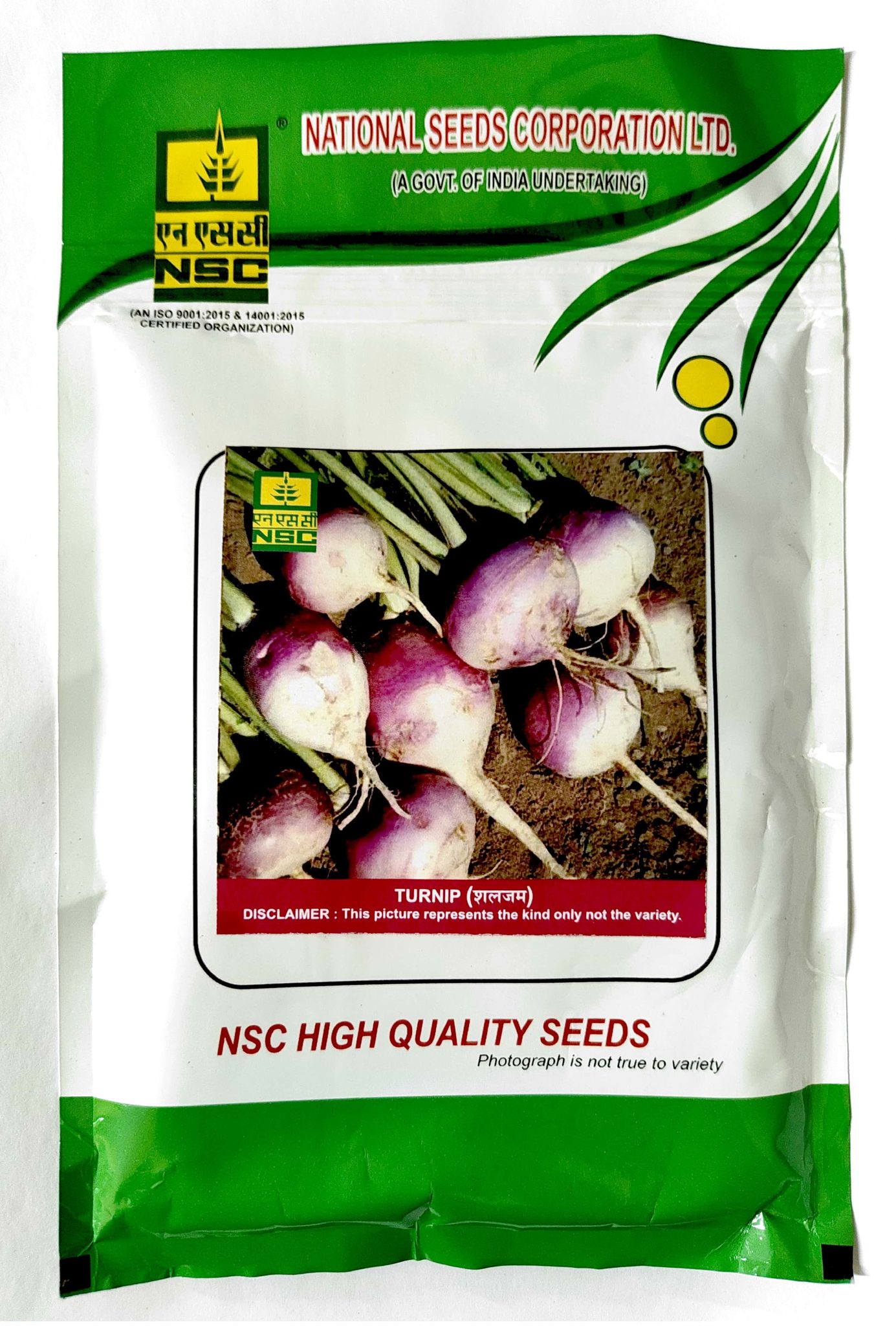 NSC TURNIP (शलजम) VARIETY - PTWG PURPLE TOP WHITE GLOBE HIGH-QUALITY T/L SEEDS - 100 GMS POUCH