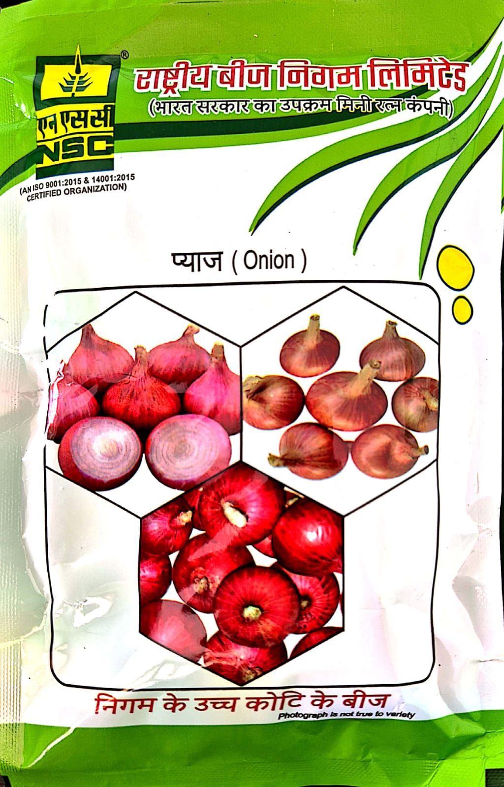 NSC ONION SEEDS/VAR - BHIMA SHAKTI  - 100 GM