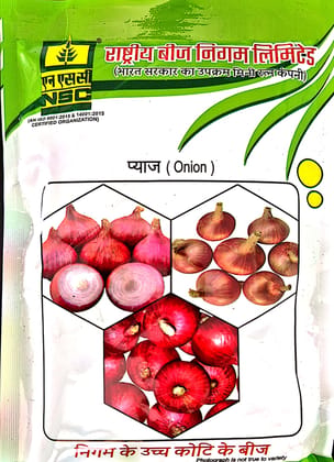 NSC ONION SEEDS/VAR - AFDR - 100 GM