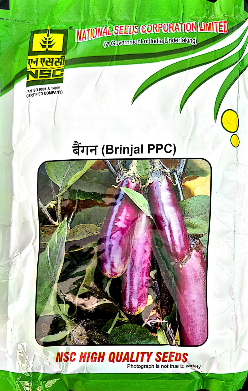 NSC BRINJAL / VAR - PPC  -  100 GM