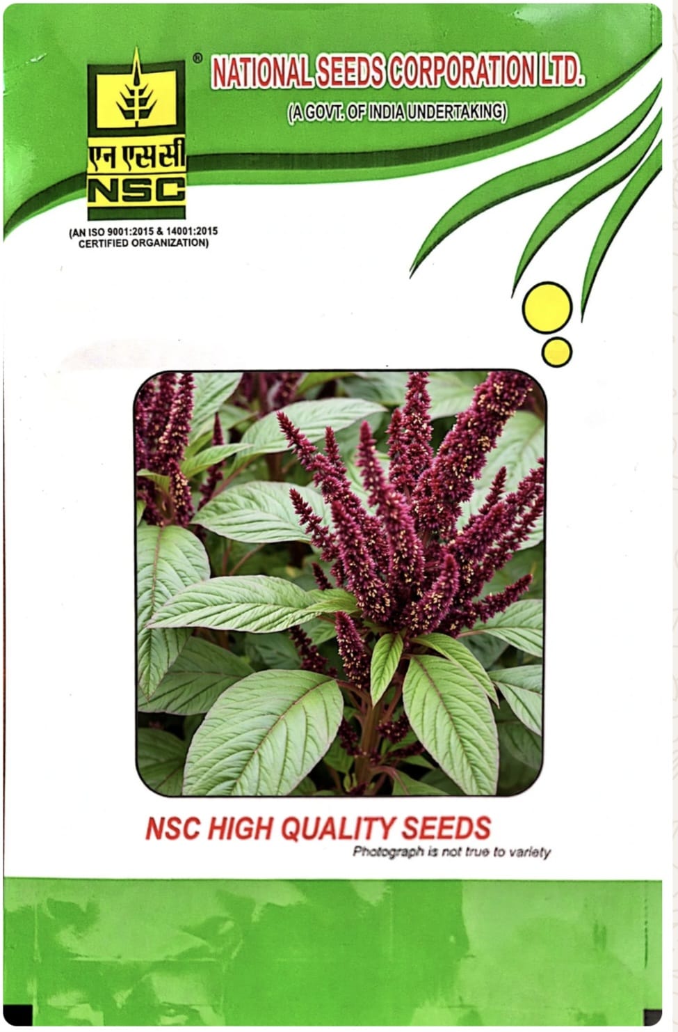 NSC AMARANTHUS / VAR - ARKA ARUNIMA  -  250 GM