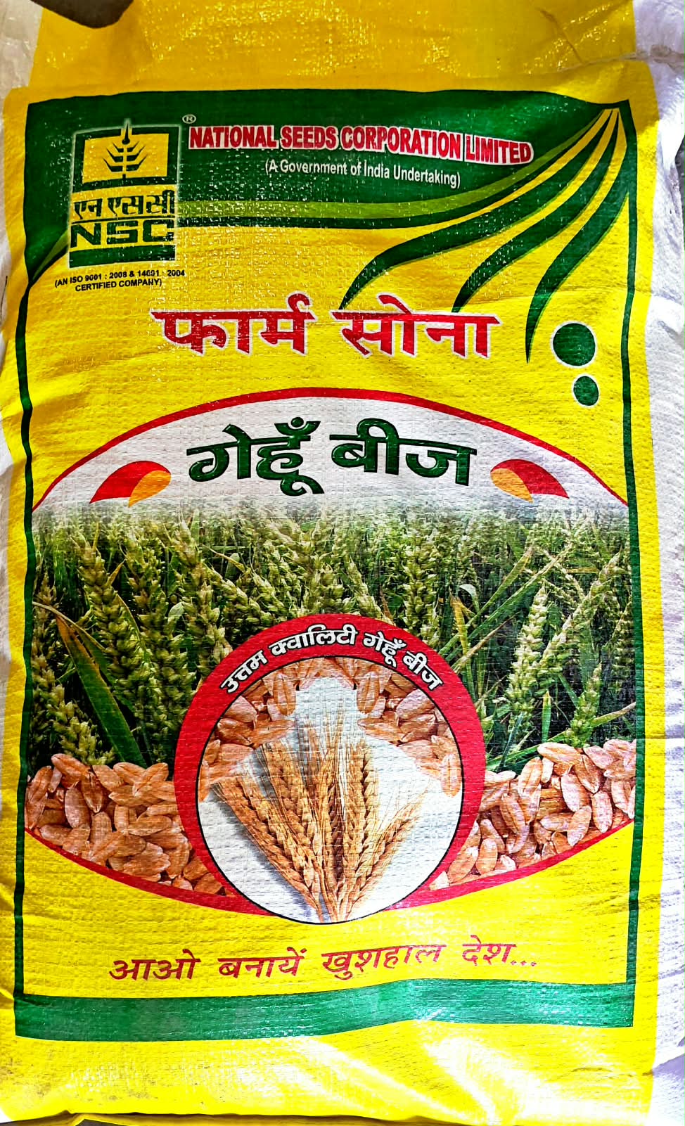 Wheat DBW-327