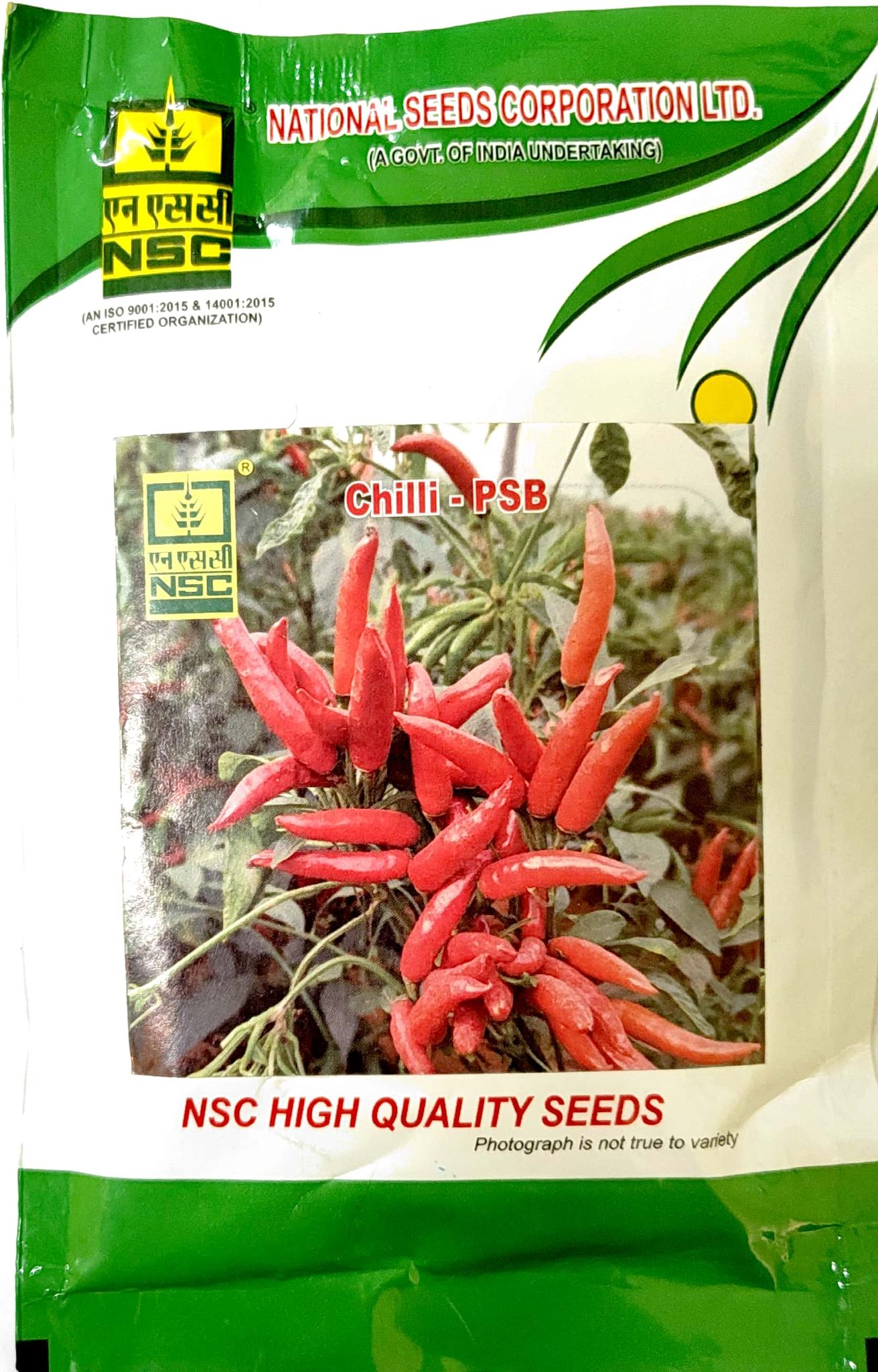 NSC CHILLI PUSA SADABAHAR (PSB) HIGH-QUALITY T/L SEEDS 50 GMS POUCH