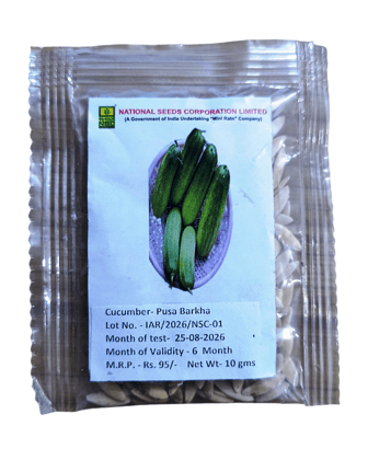 NSC Cucumber- Pusa Barkha