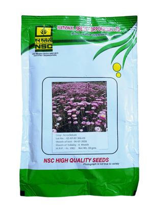 NSC Flower Seeds- Acroclinium