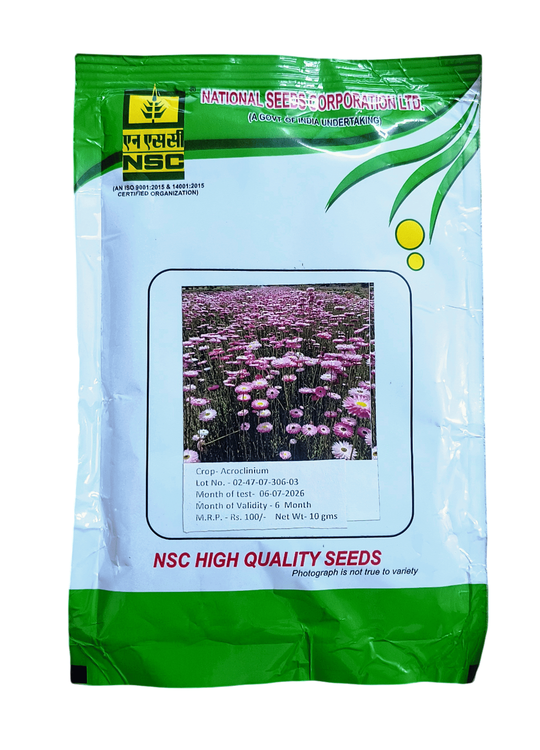 NSC Flower Seeds- Acroclinium