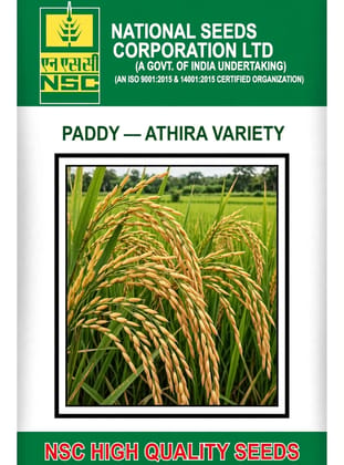 NSC PADDY / VAR - ATHIRA   5 KG