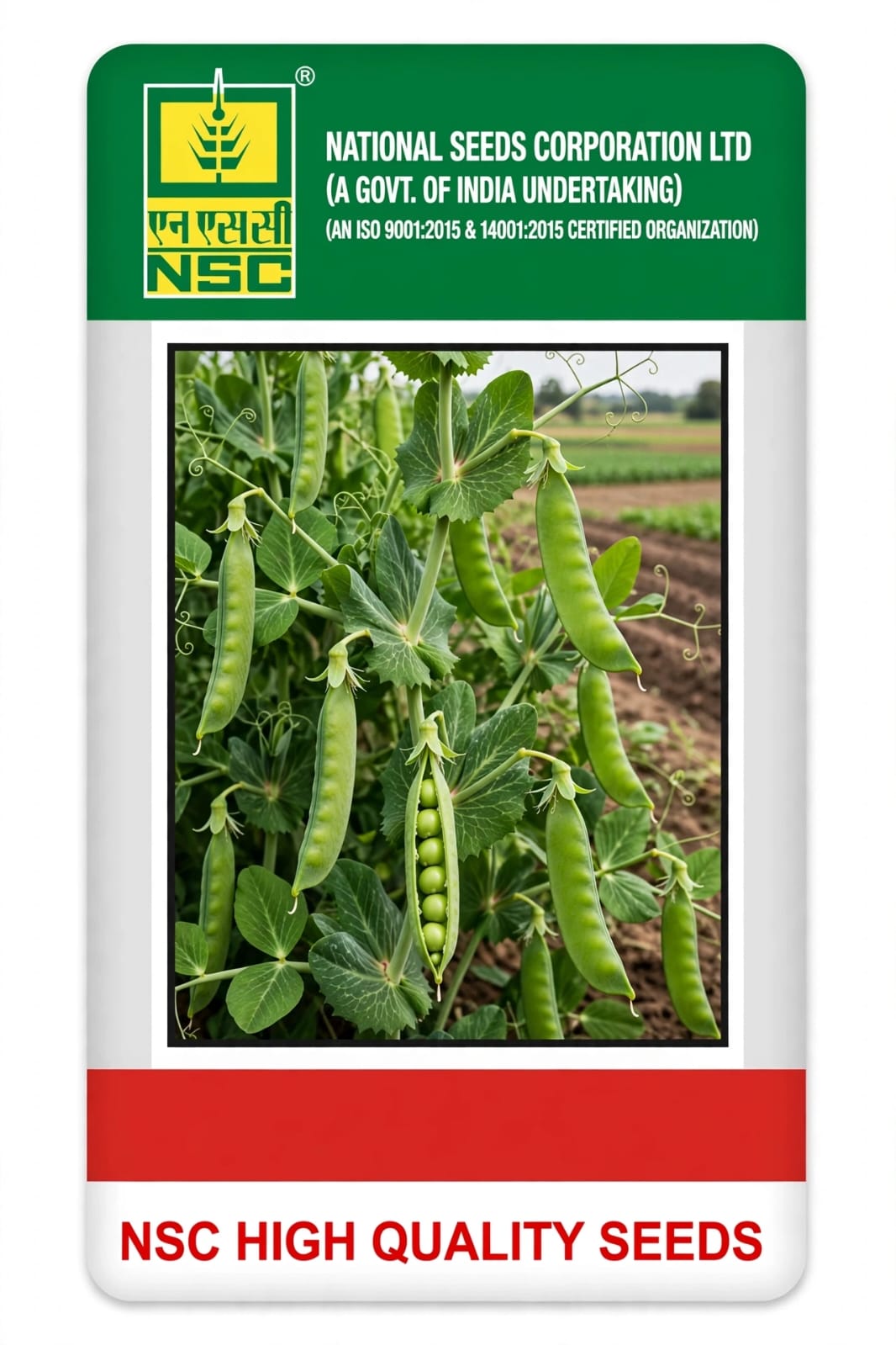 NSC GARDEN PEA - 100 GM