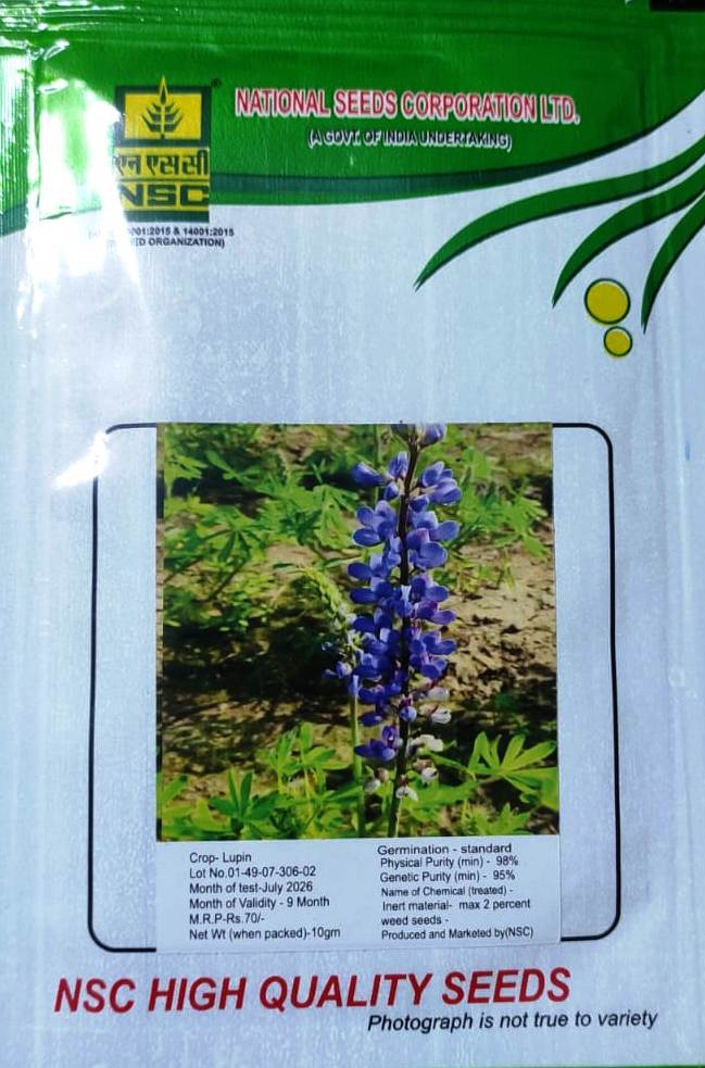 NSC LUPIN FLOWER 10 GM PACK
