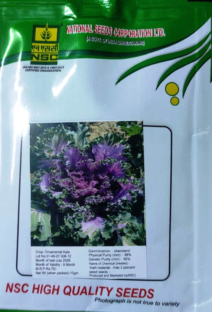 NBSC ORNAMENTAL KALE 10 GM PACK