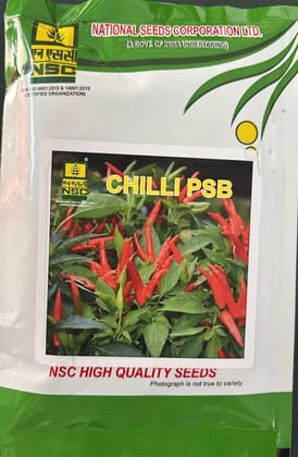 Chilli/PSB