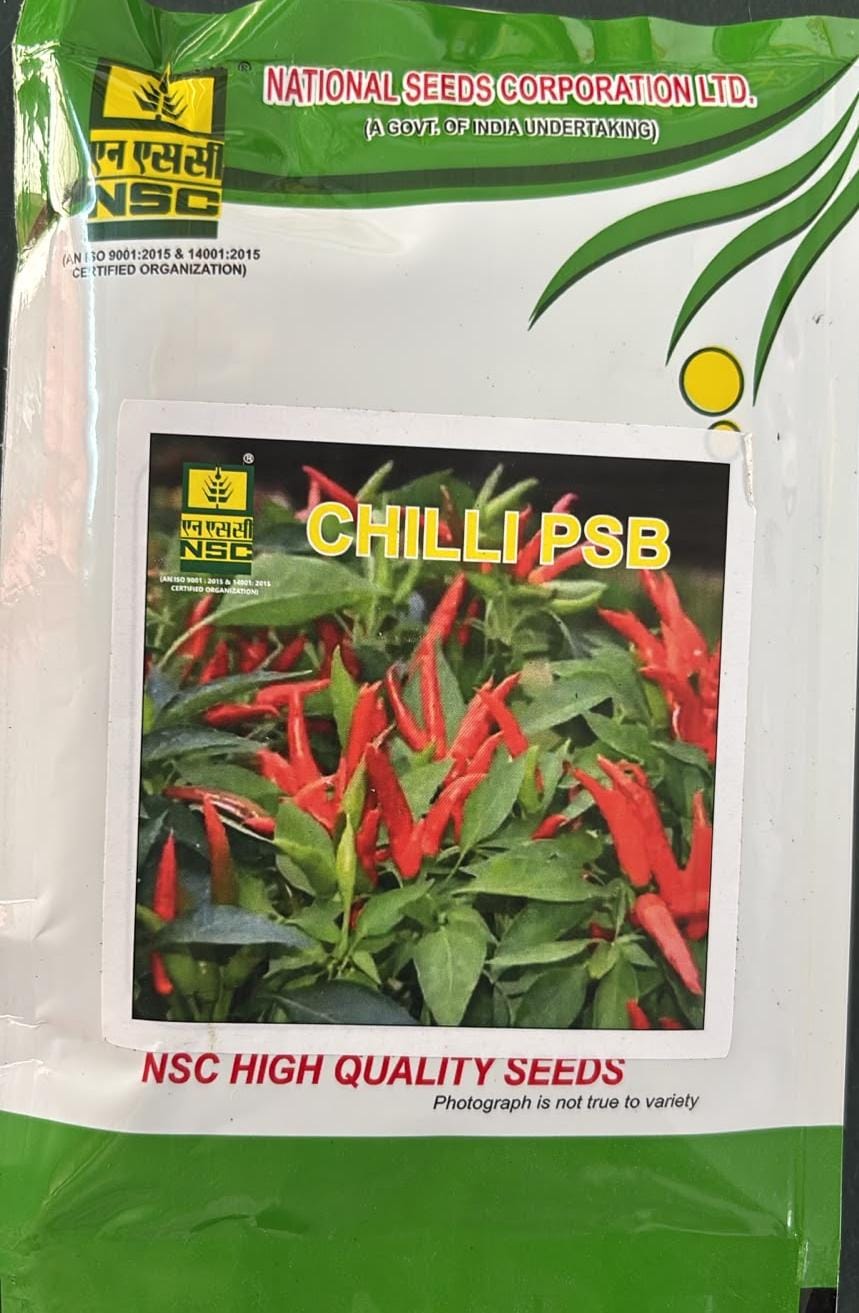 Chilli/PSB