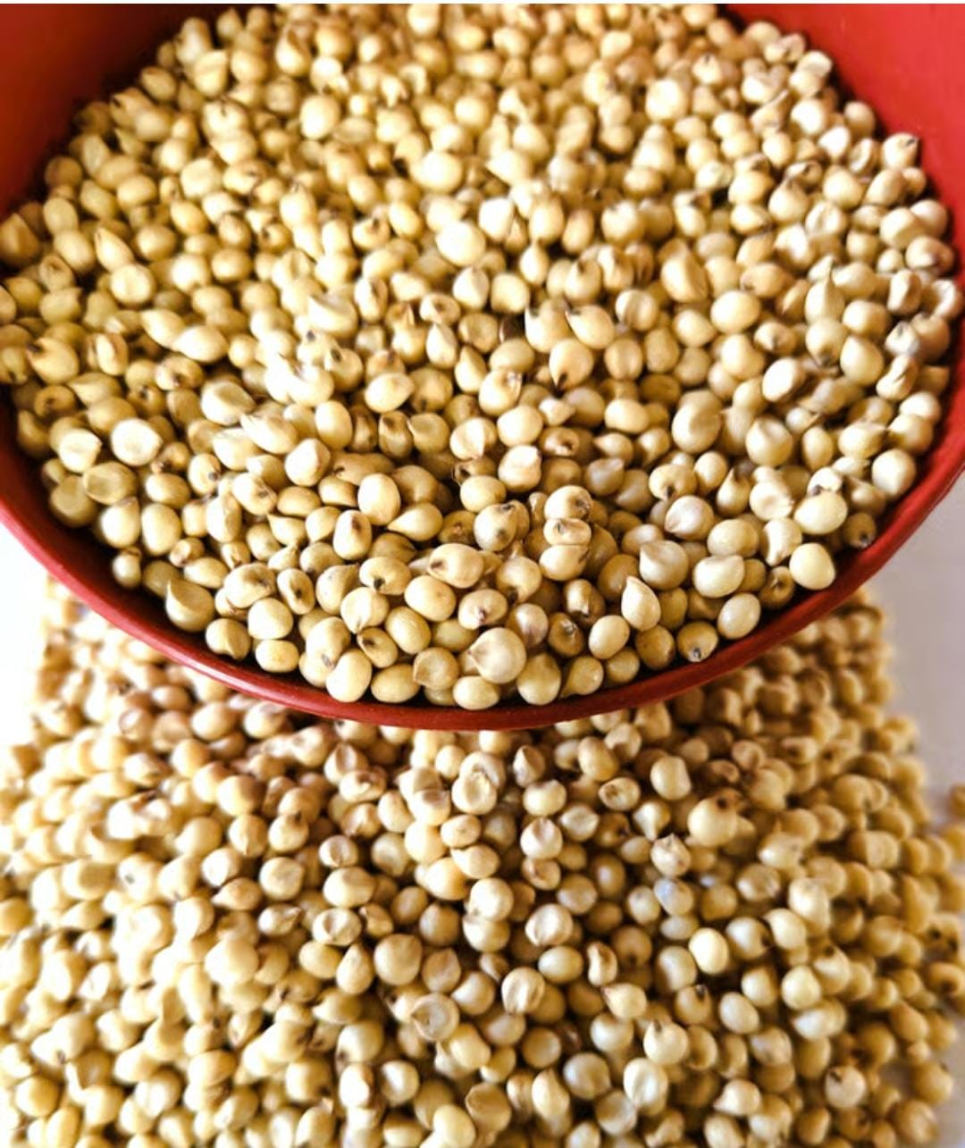 Nsc Sorghum Spv-2217 / 2 Kg