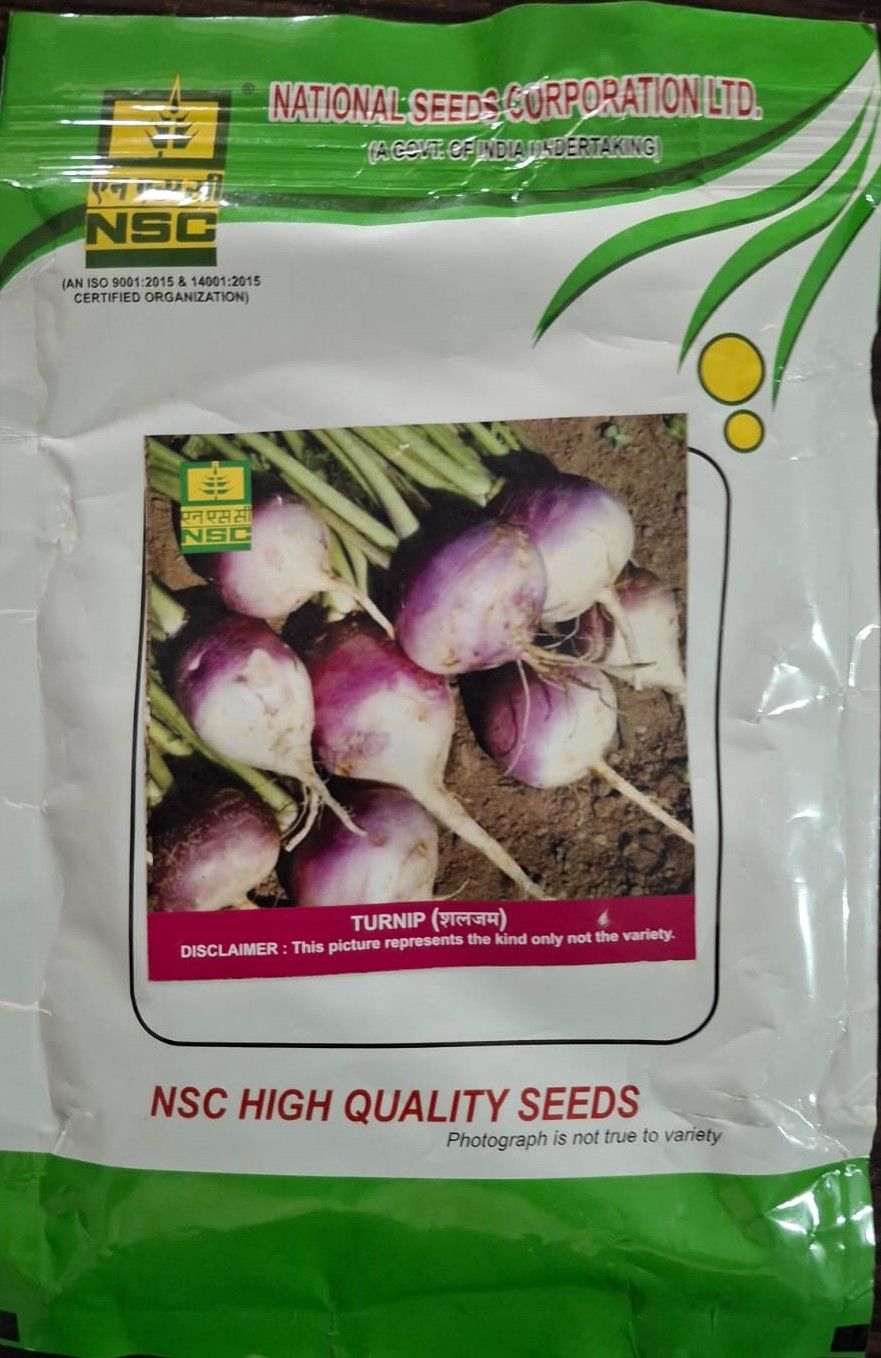 The National Seeds Corporation (NSC) offers the PTWG (Purple Top White Globe) turnip variety in a 100-gram truthfully labelled seed