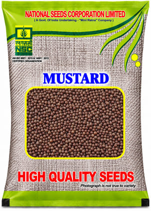 NSC MUSTARD RH-761 CS 2 KG