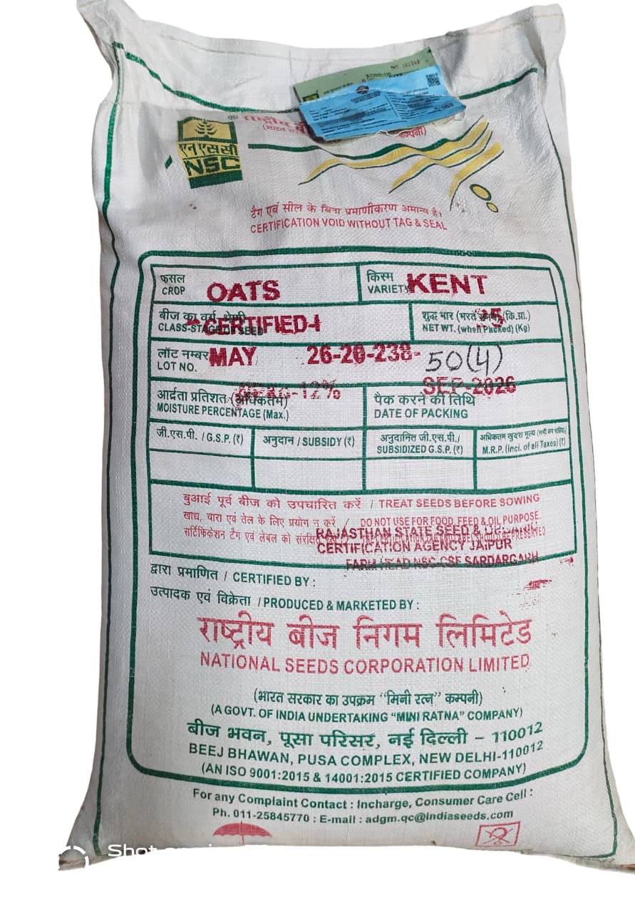 NSC Certified Oat Seed Kent Variety 25kg Bag
