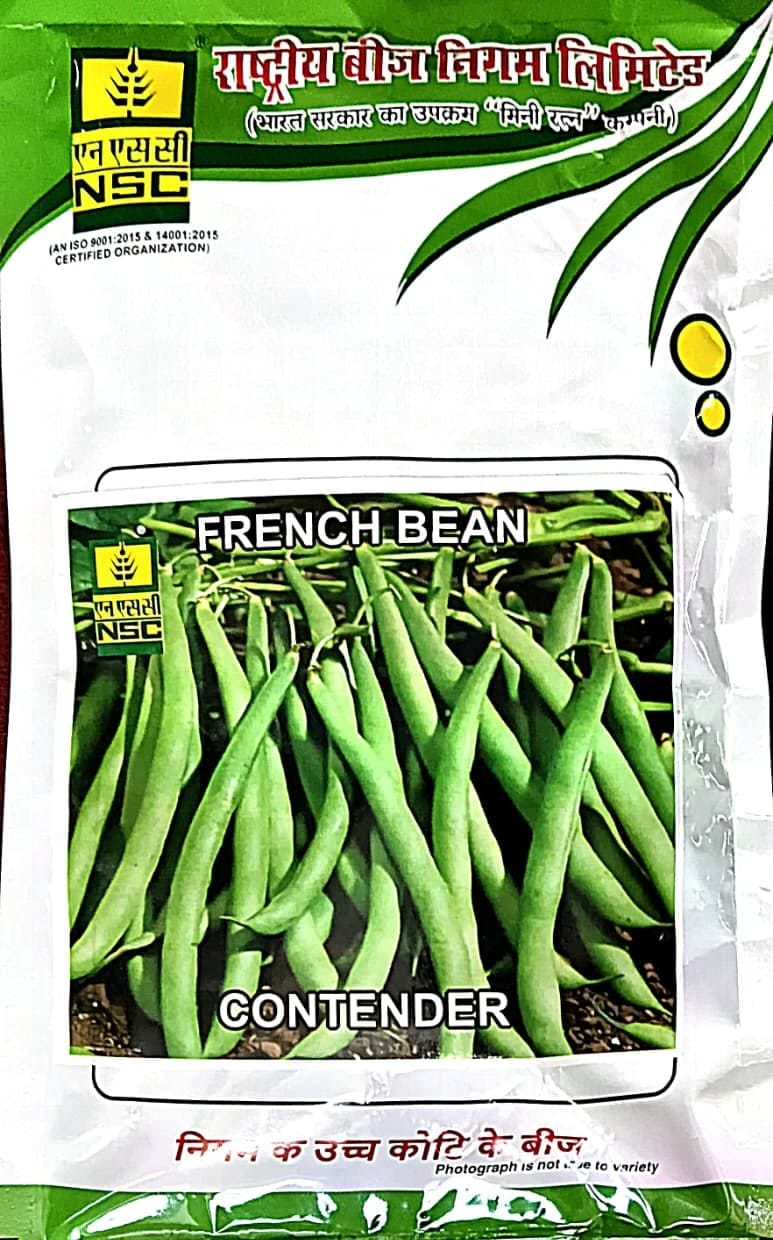 French Bean ( Contender Variety)