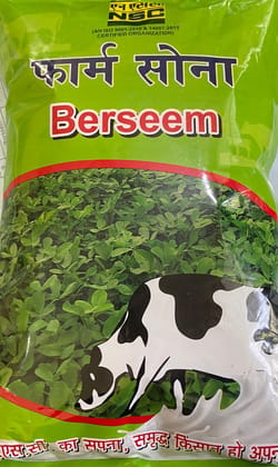 NSC FODDER BARSEEM VARIETY BL-42  2KG PACKING SIZE T/L SEED