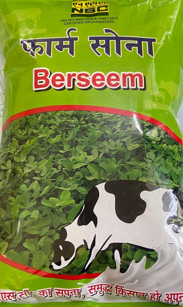 NSC FODDER BARSEEM VARIETY BL-42  2KG PACKING SIZE T/L SEED
