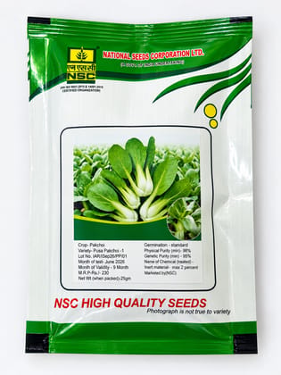 NSC Pakchoi - Pusa Pakchoi 1