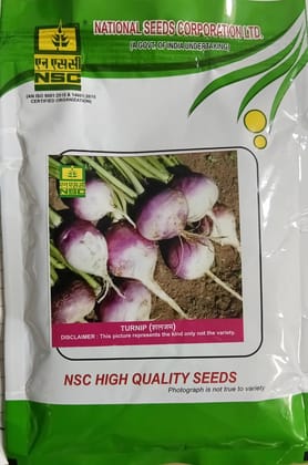 NSC Turnip PTWG Seeds 100 GMS