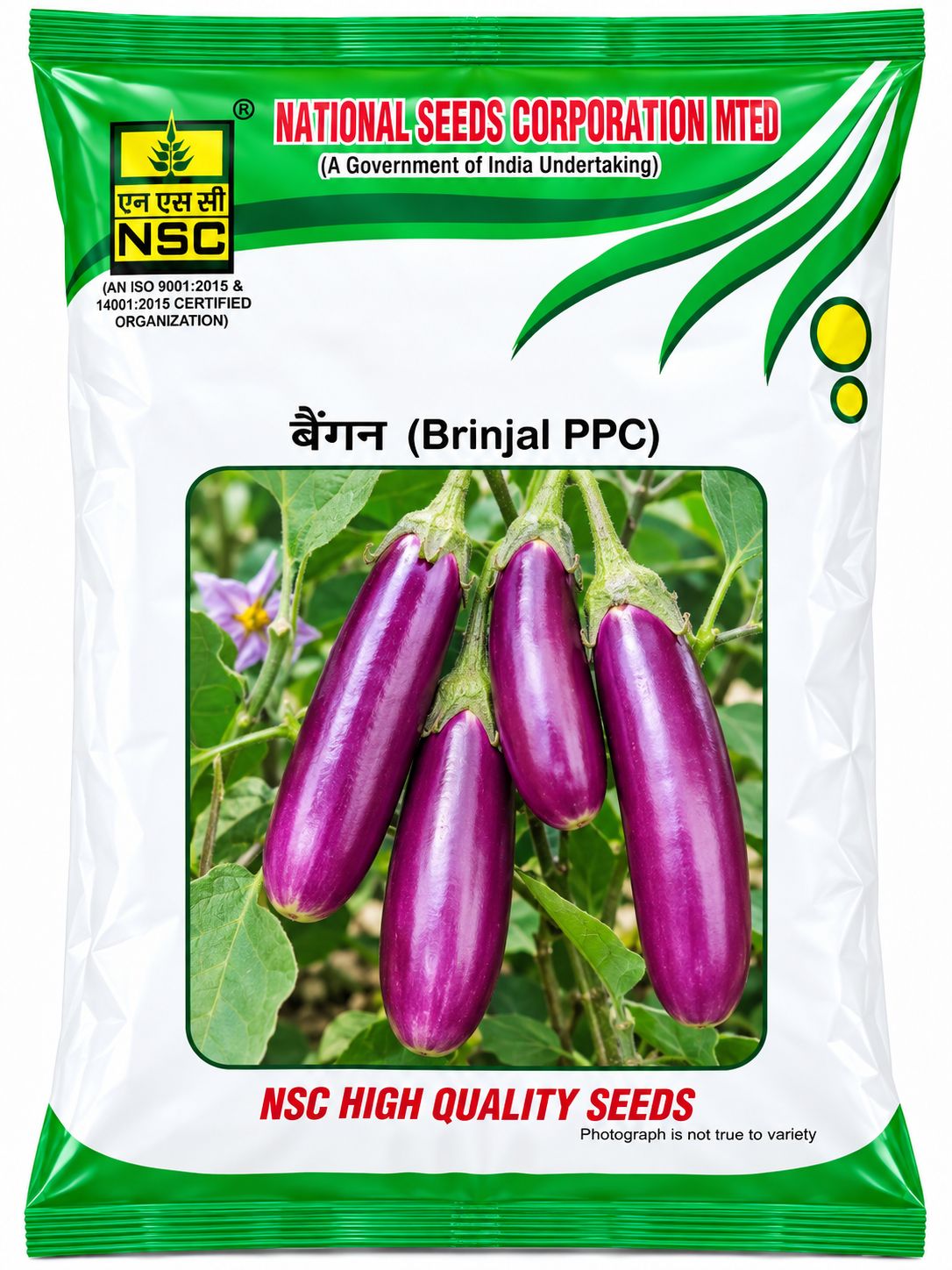NSC BRINJAL VARIETY PPC TL 100 GRAM