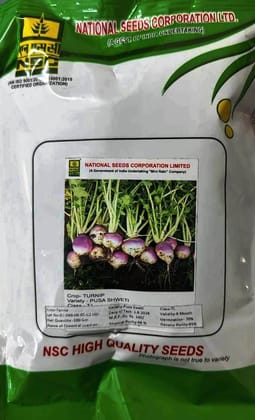 NSC HIGH QUALITY TURNIP PUSA SWETI 100 GM SEED NSC HIGH QUALITY TURNIP PUSA SWETI 100 GM SEED
