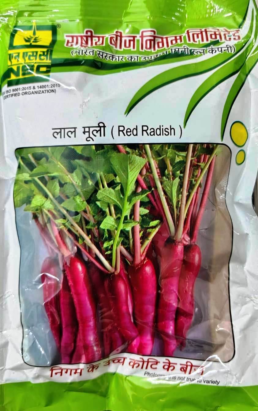 NSC HIGH QUALITY RADISH -PUSA GULABI SEED TL