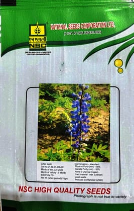 NSC HIGH QUALITY LUPIN SEED TL 10 GM NSC HIGH QUALITY LUPIN SEED TL 10 GM