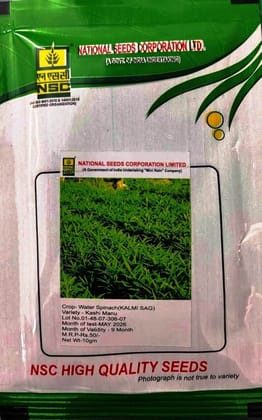 NSC HIGH QUALITY WATER SPINACH (KALMI SSAG) 10GM NSC HIGH QUALITY WATER SPINACH (KALMI SSAG) 10GM
