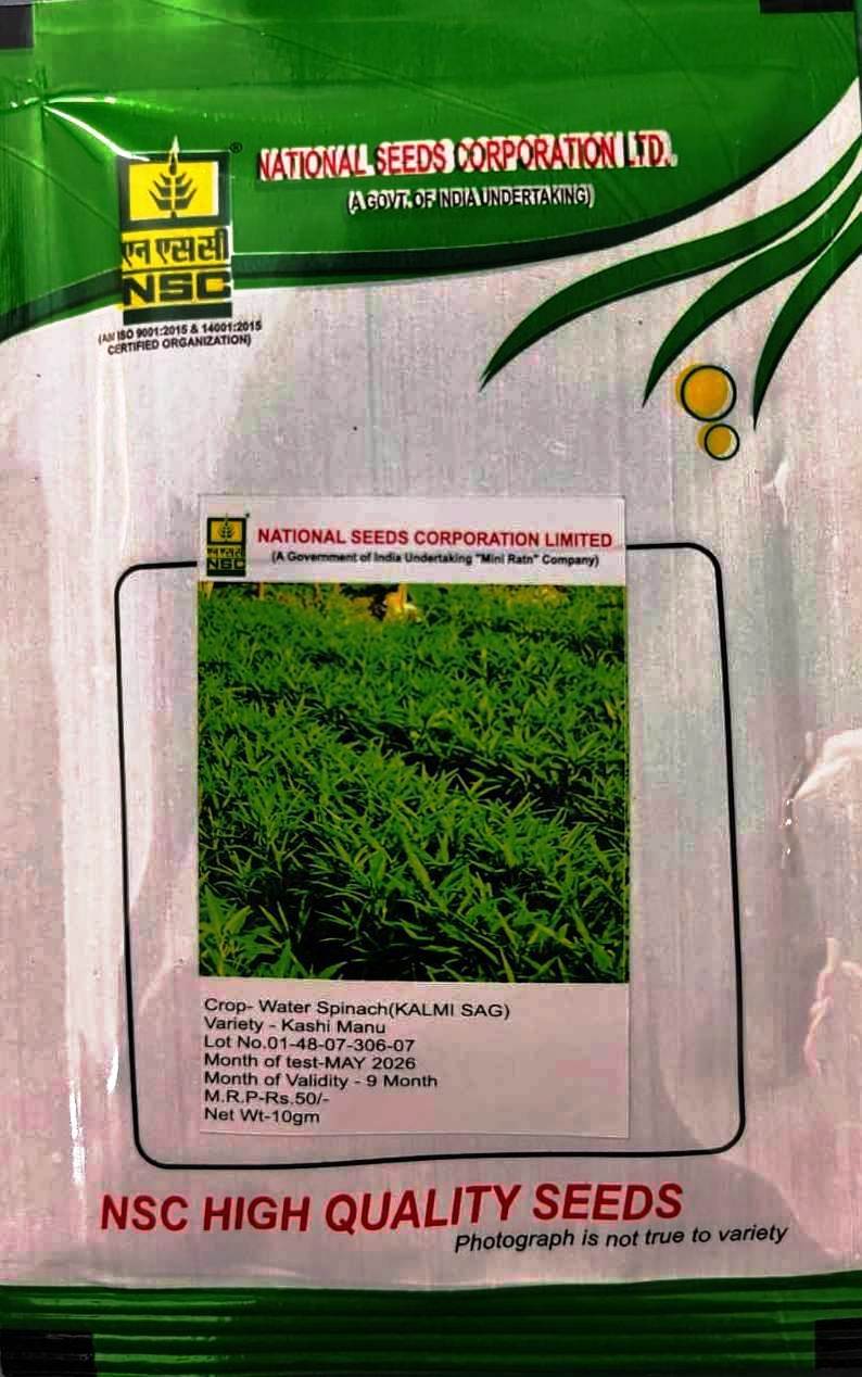 NSC HIGH QUALITY WATER SPINACH (KALMI SSAG) 10GM