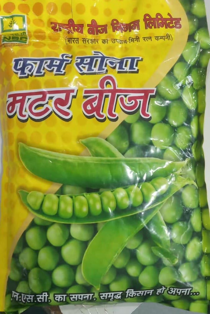 NSC Farm Sona Pea Seeds (Matar Beej) Punjab 89 variety - 1kg