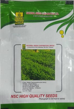 NSC Kashi Manu Water Spinach (Kalmi Sag) TL Seeds (10g)