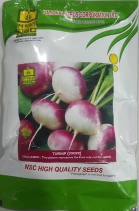 NSC Turnip High Quality TL Seeds (Pusa Sweti Variety) - 100g