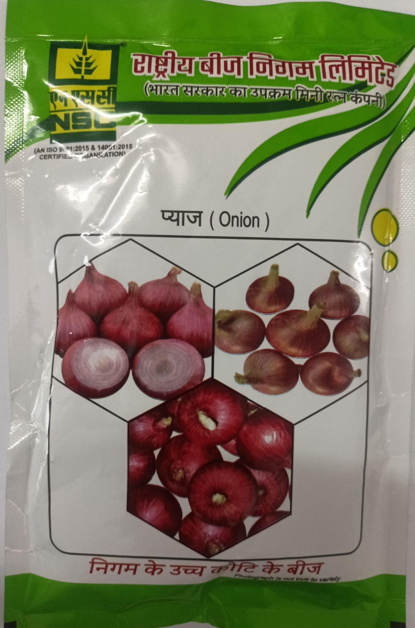 NSC Onion Bhima Shakti-100 Gram Seed 