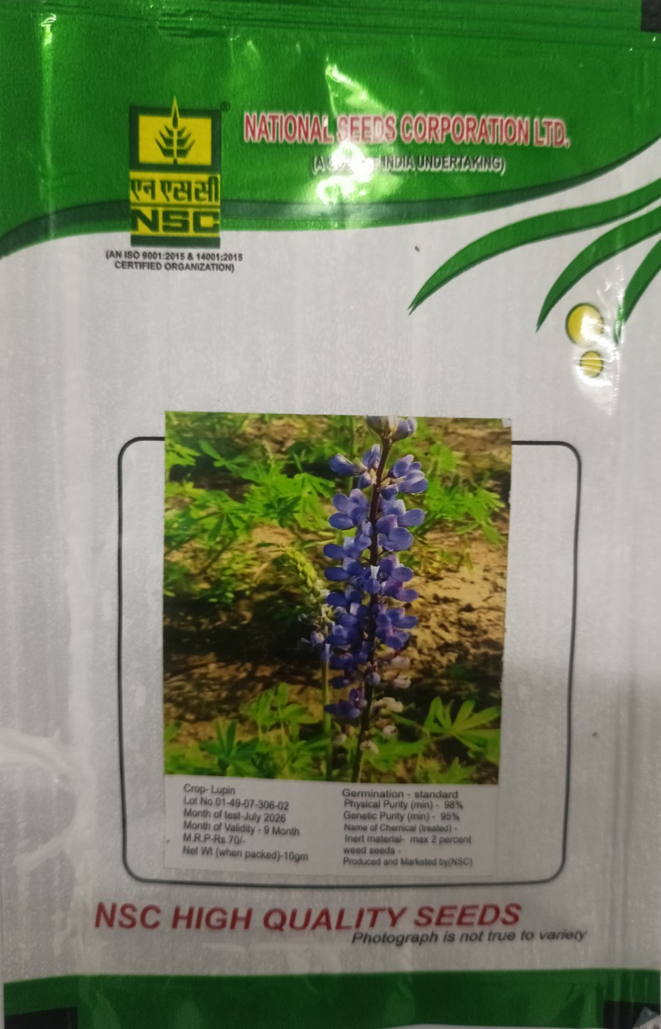 NSC Lupin Flower, 10 Gram Truthfully Labelled Seed Pouch