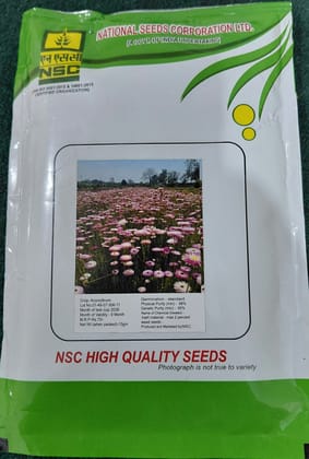 NSC ACROLIUM  TL FLOWER SEED 10Gm Pouch