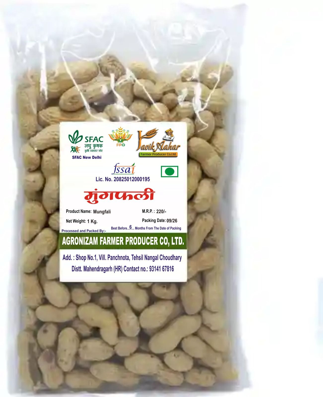 Groundnut