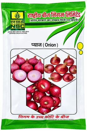 NSC Onion Bhima Super -250 Gram Truthfully Labelled Seed Pouch