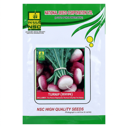 Nsc Turnip, PTWG, 100 gram Truthfully Labelled Seed Pouch