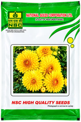 NSC Flower Calendula Officinalis Yellow Gitana, 10 Gram Truthfully Labeled Seed Pouch